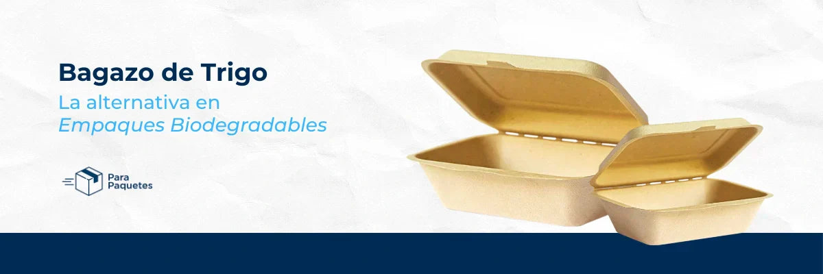 Bagazo de Trigo: La alternativa en empaques biodegradables
