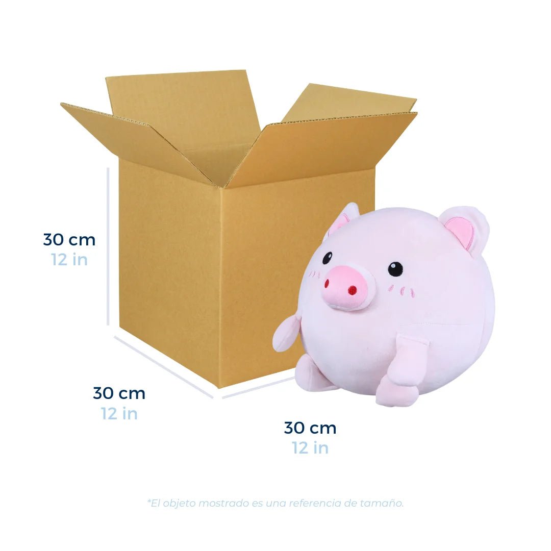 Cajas de Cartón Regulares 30 x 30 x 30 cm. Con un peluche redondo a un lado como referencia de tamaño. Para Paquetes.