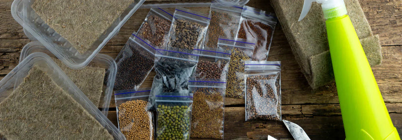 Bolsas con Cierre Tipo Ziploc: El Empaque Práctico que Todo Emprendedor Necesita