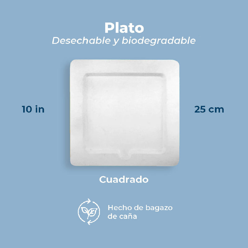 Platos Desechables y Biodegradables