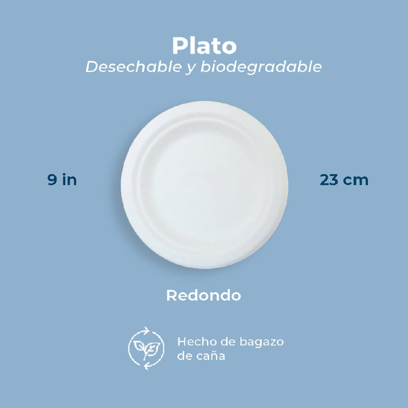 Plato Plástico Redondo - Nueva Era